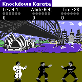 Knockdown Karate