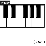 P-Key